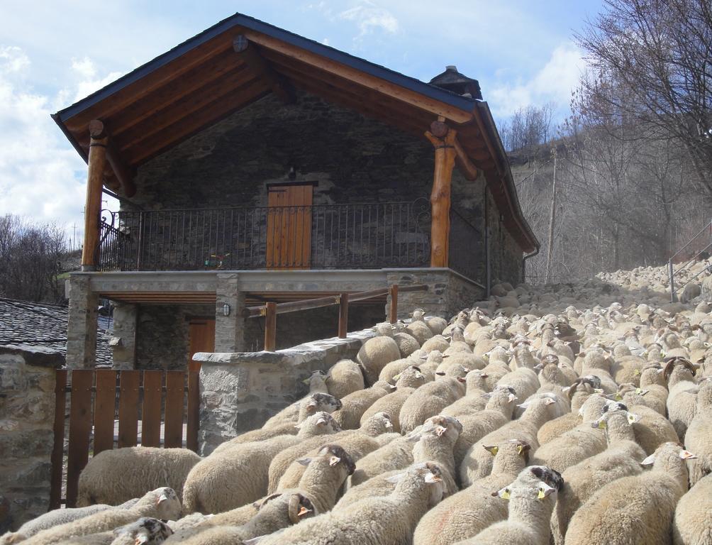 La Cabanya De Cal Forn De Serrat Queralbs Exteriér fotografie